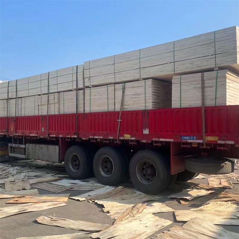 南城街道探寻会东县进仓物流的多元运输奥秘