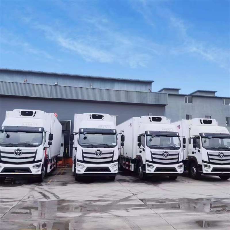 南城街道新龙县进仓物流：多元专线直达运输探秘